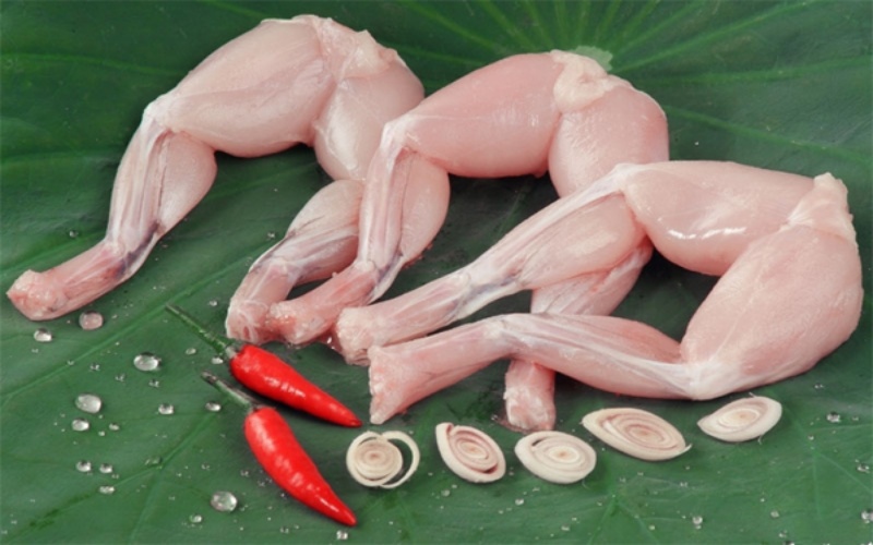làm sạch thịt ếch là phần hết sức quan trọng của món ăn