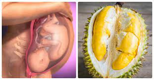 Những lưu ý dành cho mẹ bầu khi ăn sầu riêng