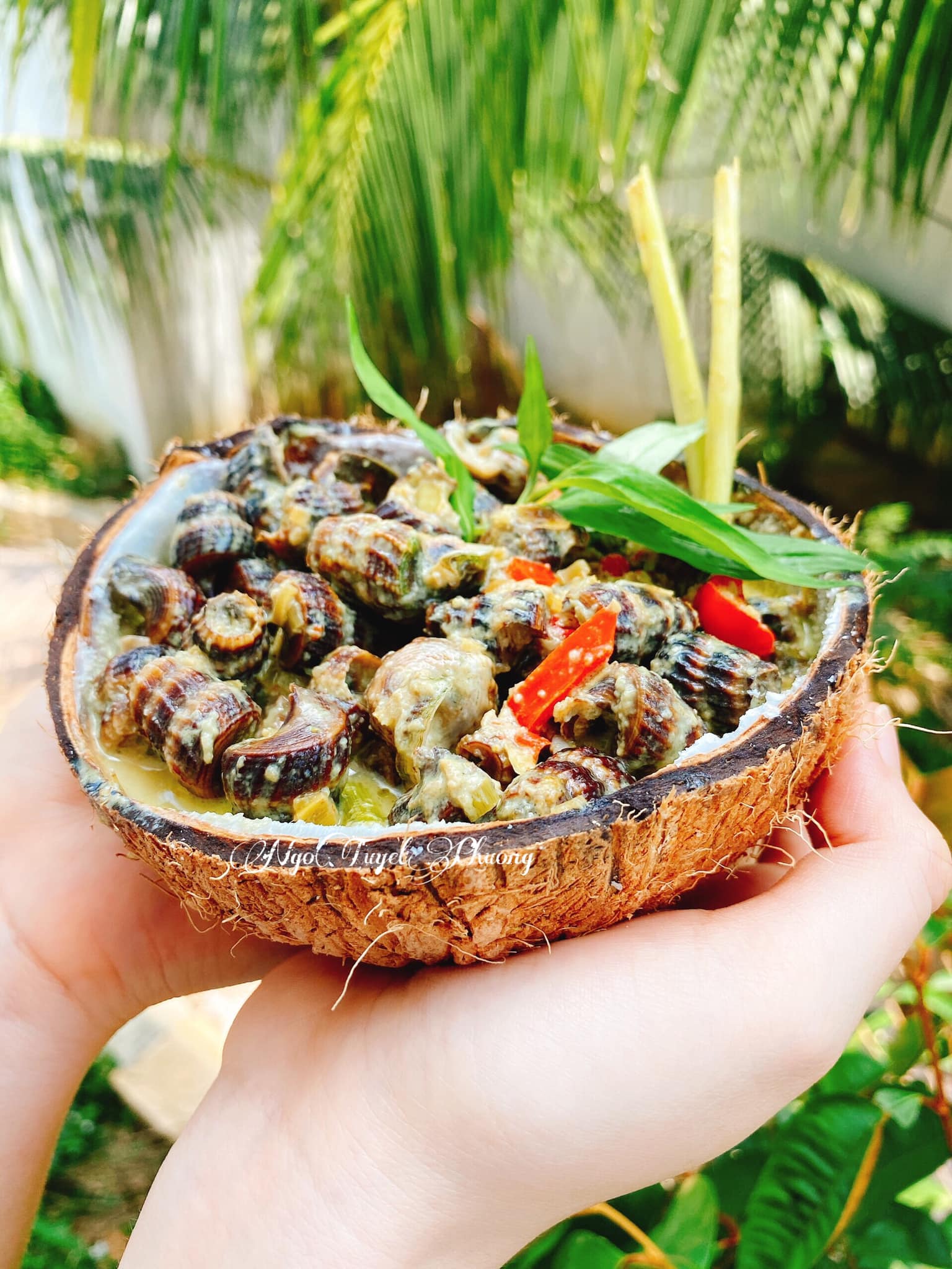 Công thức ốc len xào dừa chuẩn vị dễ làm